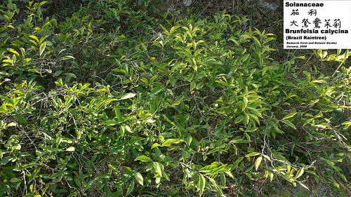 Yesterday-today-tomorrow